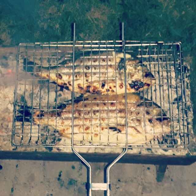 Paleo diet. Fried fish over a campfire