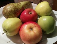 Apples and pears are useful foods in Marilu diet
