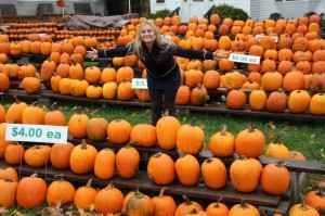 pumpkins in the market