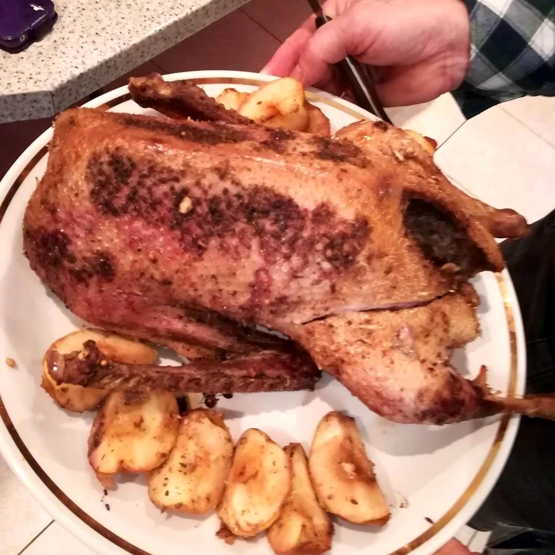 Christmas Goose With Apples